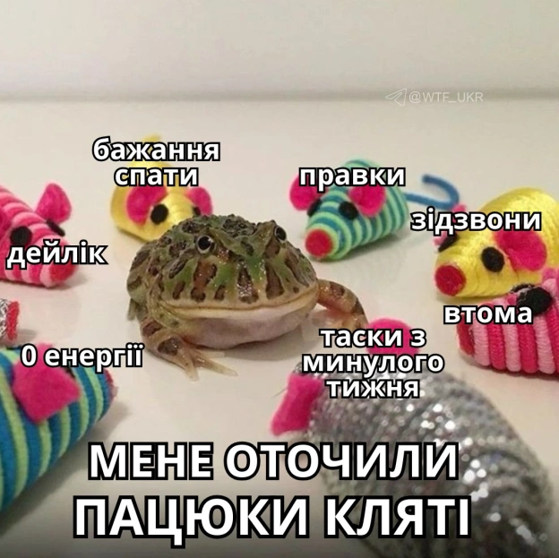 Починаємо робочий тиждень із теплого і дружнього оточення💀TG | X | FB | Instahttps://instagram.com/wtf_ukr/ - на we.ua