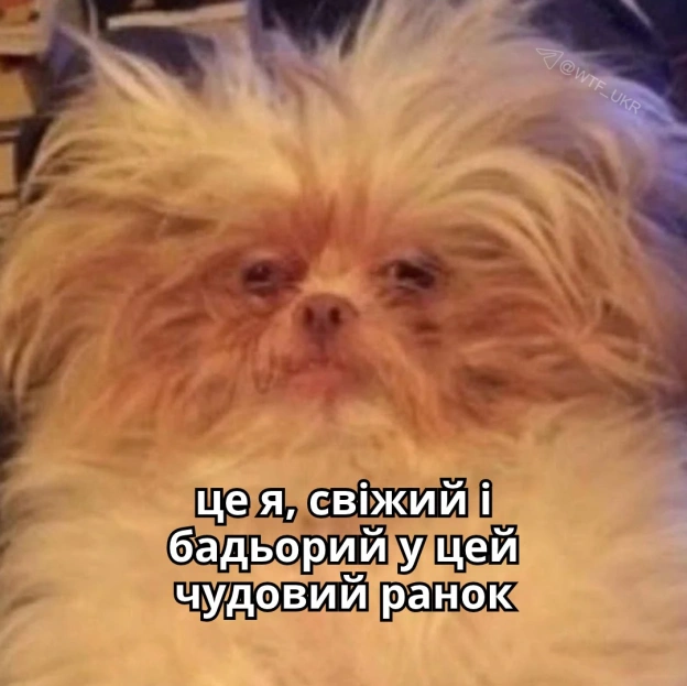 Вриваюсь у робочий день з ноги💀TG | X | FB | Instahttps://instagram.com/wtf_ukr/ - на we.ua