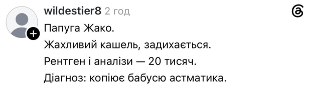 Баба і Кіт на we.ua
