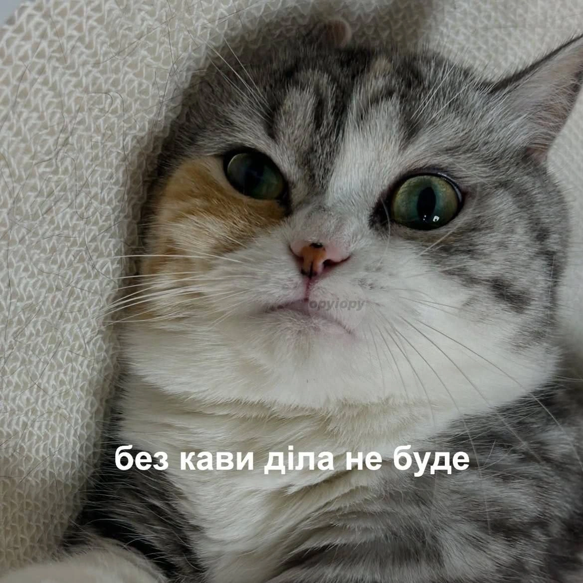 Доброго ранку!@memargam - на we.ua
