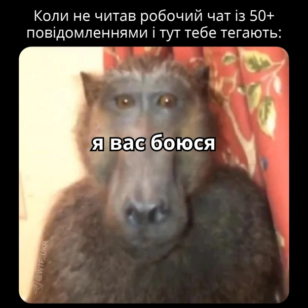 💀TG | X | FB | Instahttps://instagram.com/wtf_ukr/ - на we.ua