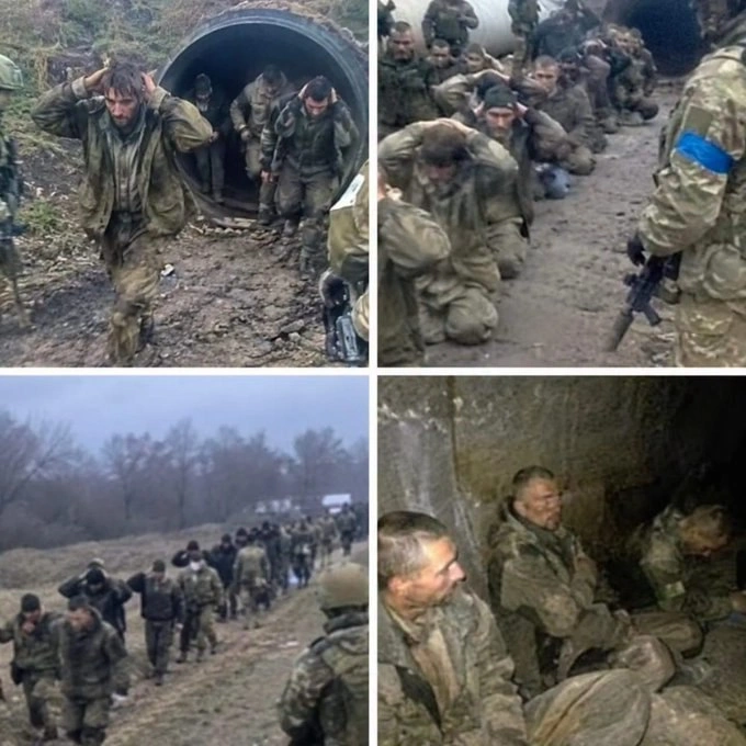Красиві карасики з труби - на we.ua