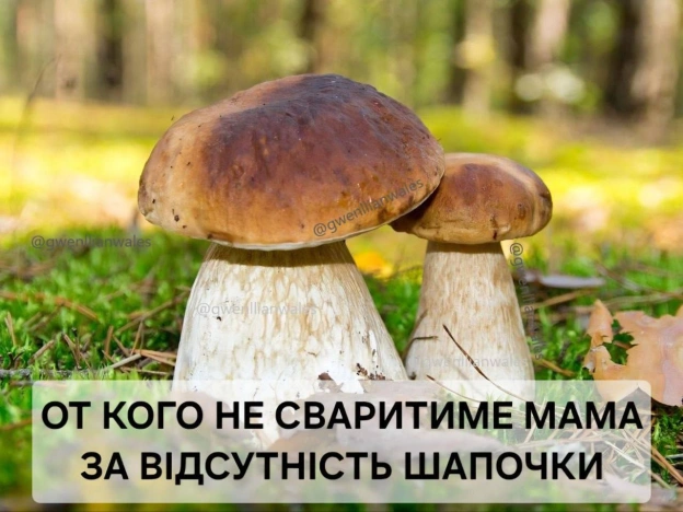 А ти в шапці?(с) @gwenllianwales@memargam - на we.ua
