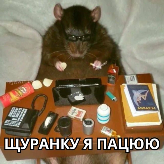 Раночку💀TG | X | FB | Instahttps://instagram.com/wtf_ukr/ - на we.ua
