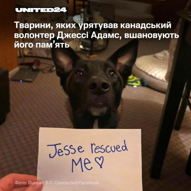 Джессі Адамс приїхав до України з Канади, щоб допомагати тим, хто цього найбільше потребував. Він рятував тварин, які найбільше ... - на we.ua