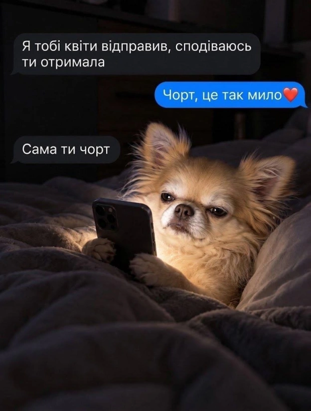 на we.ua
