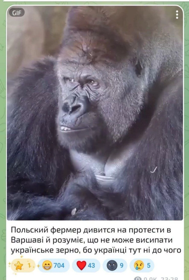 Доброго ранку! - на we.ua