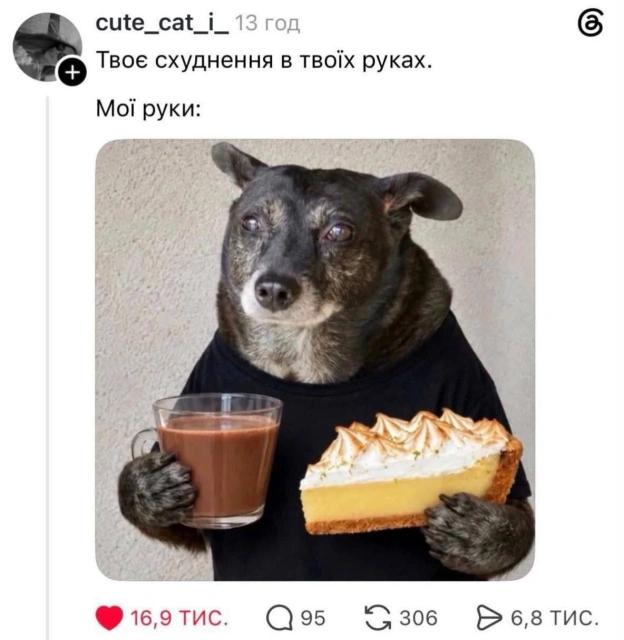 на we.ua