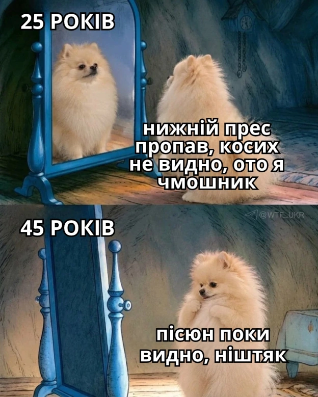 💀TG | X | FB | Instahttps://instagram.com/wtf_ukr/ - на we.ua